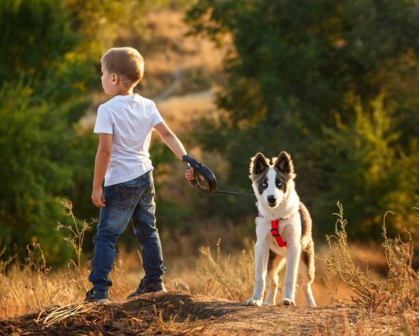 istock A little boy is walking with a dog 909399078