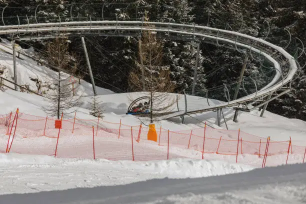 Winter bobsled track in the forest in Dolomites. Boy riding a bobsleigh sitting on a blue truck. Italy