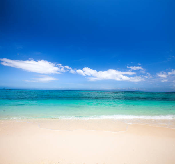 istock beach and beautiful tropical sea 909399878