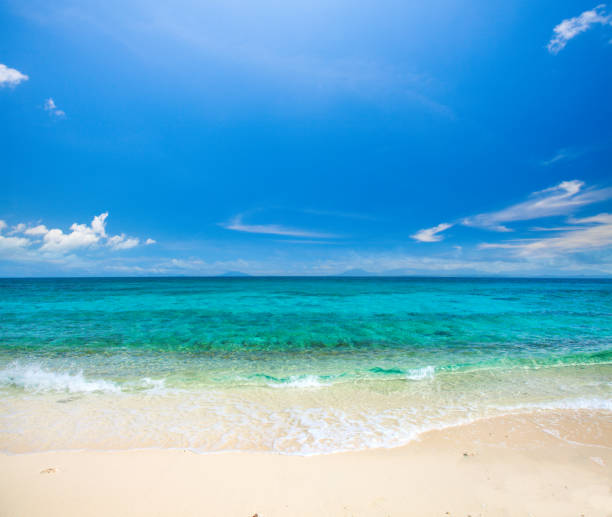 istock beach and beautiful tropical sea 909399918