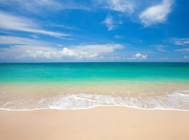 istock beach and beautiful tropical sea 909399936