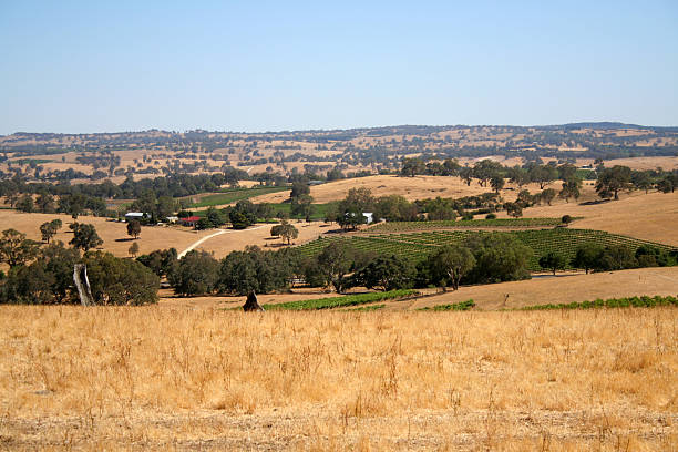 istock Hot and dry South Australia 90940176