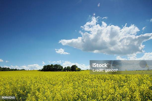 夏の風景 - Horizonのストックフォトや画像を多数ご用意 - Horizon, カラー画像, 七月