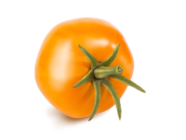 istock Yellow tomato with a tail isolated on white background. Retouched tomato with glare and shadow 909403376