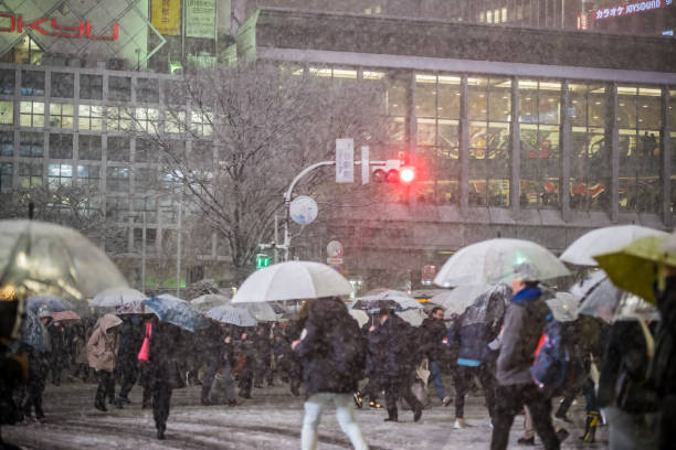 istock Find & Replace Heavy snow in Tokyo　2018-01-22 909403980