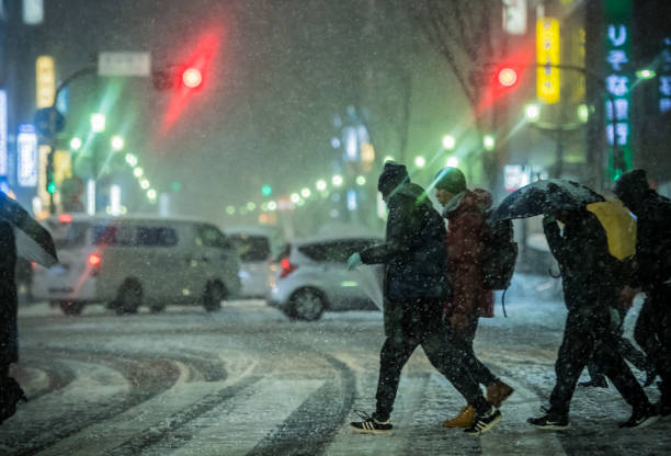 istock Find & Replace Heavy snow in Tokyo　2018-01-22 909403992