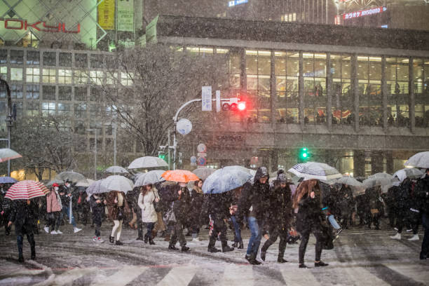 istock Find & Replace Heavy snow in Tokyo　2018-01-22 909403994