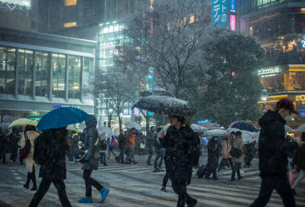istock Find & Replace Heavy snow in Tokyo　2018-01-22 909403998