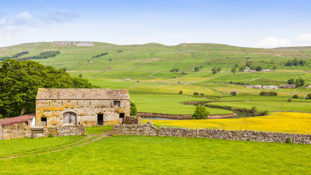 istock Old Stone Barn in the Yorkshire Dales 909404380