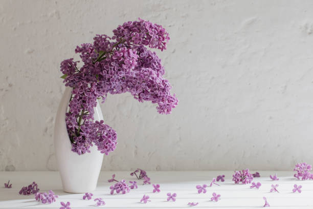 istock flowers in vase on background  white wall 909416008