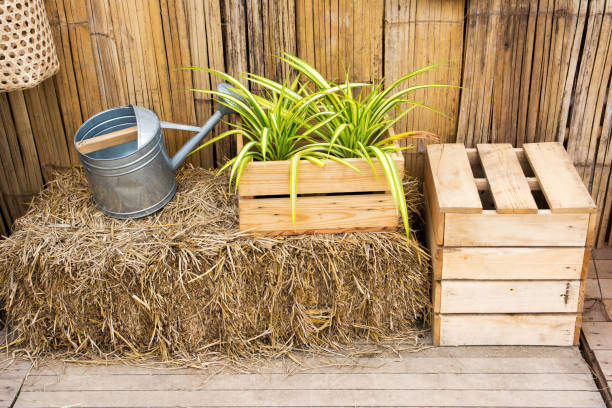 istock Home garden decoration background 909424190