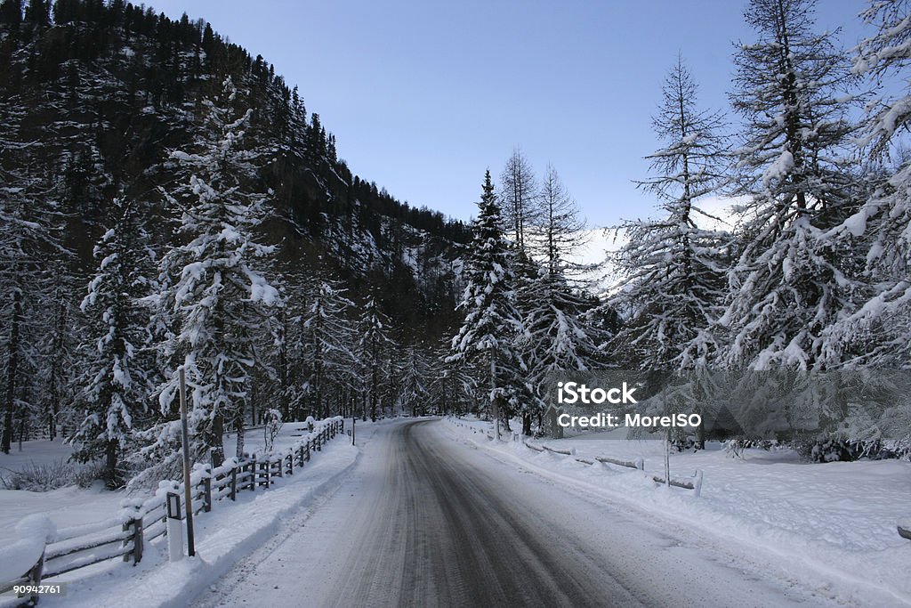 Strada di campagna invernale - Foto stock royalty-free di Abete