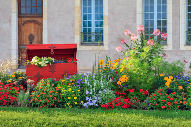 Beautiful vibrant summer flowers in the afternoon sun in the city of Nevers, France