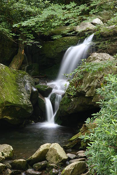 istock Beautiful Smoky Mountain Waterfall 90942998