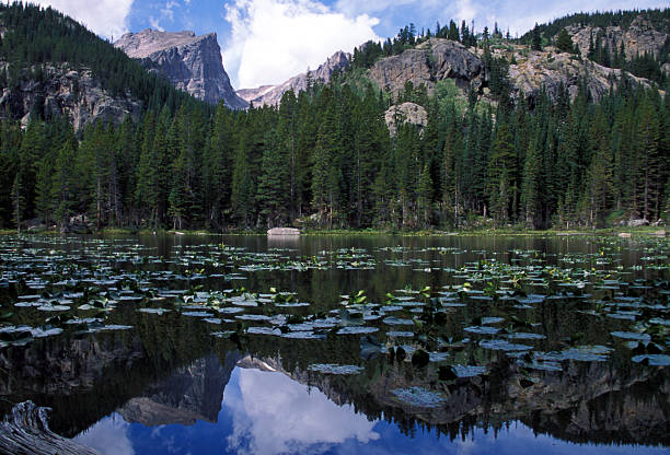 istock Nymph Lake Reflection, Rocky Mountains 90943061