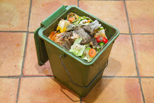 Green compost bucket stock photo