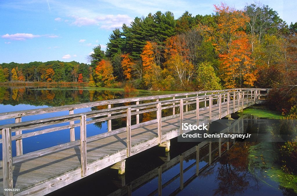 Herbst Laub - Lizenzfrei Blatt - Pflanzenbestandteile Stock-Foto