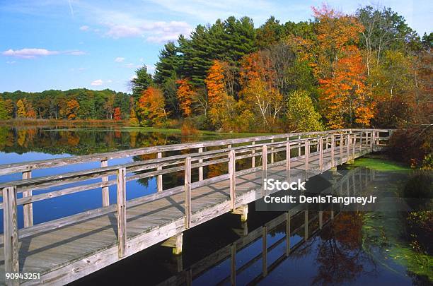 Herbst Laub Stockfoto und mehr Bilder von Blatt - Pflanzenbestandteile - Blatt - Pflanzenbestandteile, Brücke, Bunt - Farbton