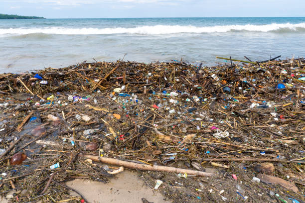 istock Beach Garbage. Rubbish washed up on shore line 909433354