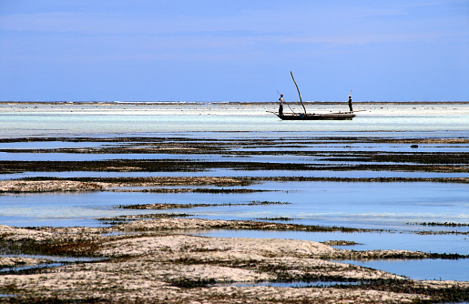 Fishermen coming back at low tide on the east coast of Zanzibar.