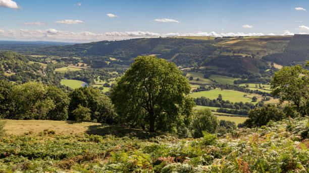 istock Denbighshire landscape, Wales, UK 909440636