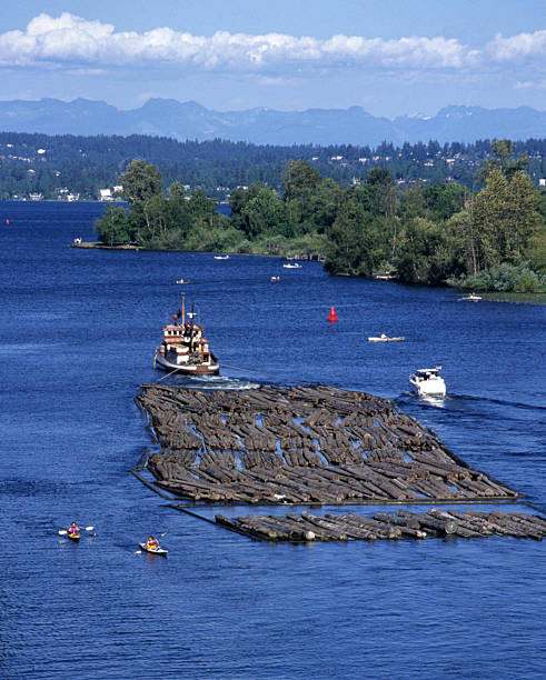 Seattle, Washington  mt rainier mountain lake washington state stock pictures, royalty-free photos & images