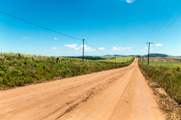 istock Dirt Road Leading Through Green Sugar Cane Plantations 909443654