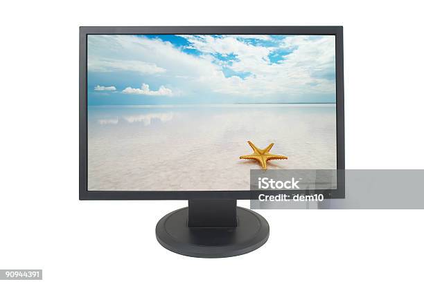 Wide Lcd Computer Monitor Stock Photo - Download Image Now - Beach, Cut Out, Animal