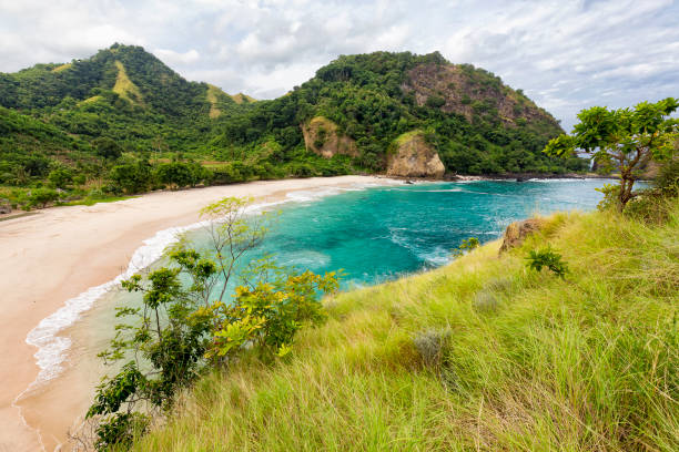 с видом на часть пляжа кока - tenggara стоковые фото и изображения