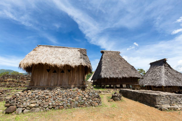 istock Tradtional Flores Houses 909445250