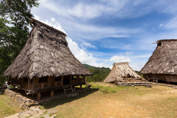 istock Tradtional Flores Houses 909445292