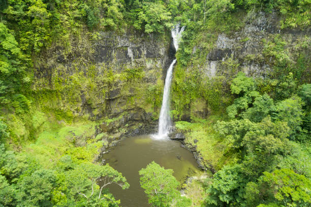 istock Nandroya Falls, Queensland, Australia 909445512