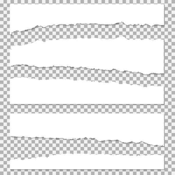 realistische vektor zerrissenes papier mit gerippten kanten mit platz für ihren text. - index card paper cut or torn paper card file stock-grafiken, -clipart, -cartoons und -symbole