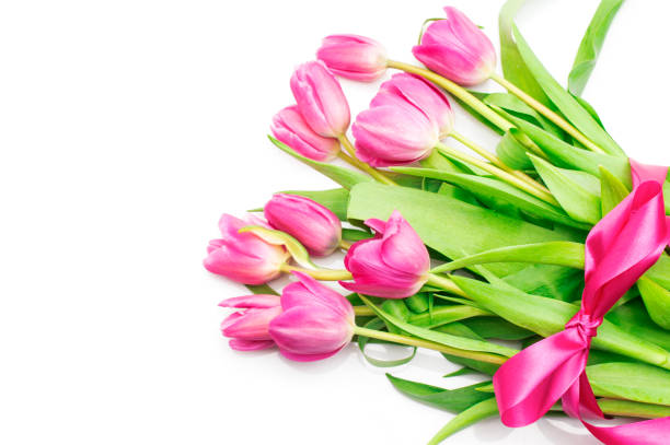 istock Pink tulips with pink ribbon on a white 909446116