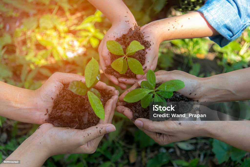 Händen Menschen Teamarbeit Familie Schröpfen junge Pflanze pflegen ökologische und globale Erwärmung der Erde verringern.  Ökologie-Konzept - Lizenzfrei Freiwilliger Stock-Foto