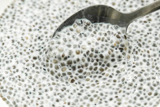 chia seed pudding - low carb diet food healthy eating raw imagens e fotografias de stock