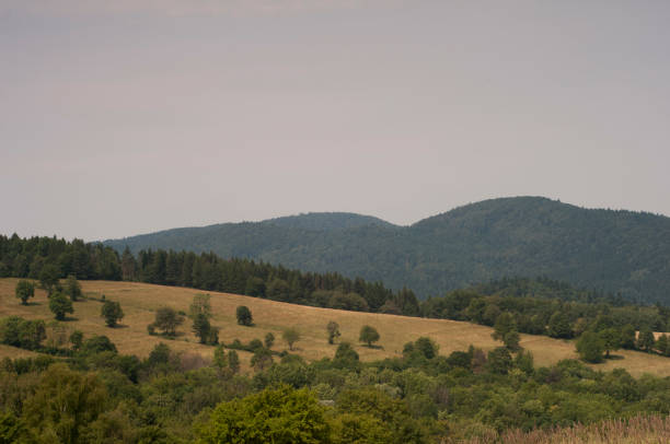 istock mountains in Poland - Bieszczady 909449576