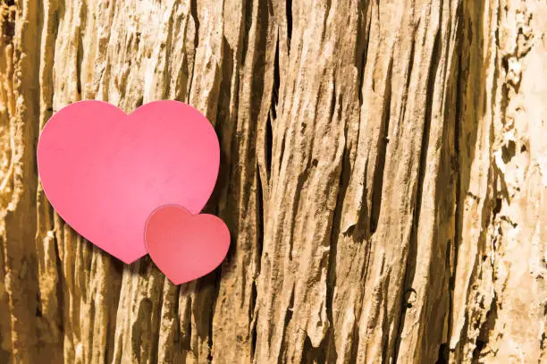 Vector illustration of Valentine's Day background [Heart on decayed wood]