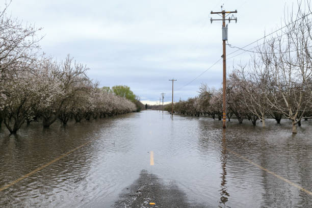 istock Flood from the Sacramento River 909454216