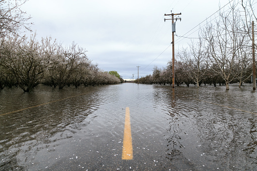 CHICO, CALIFORNIA - FEBRUARY 20: An atmospheric river extreme weather event causes the Sacramento River to flood nearby farmland on February 20, 2017 in Chico, California.
