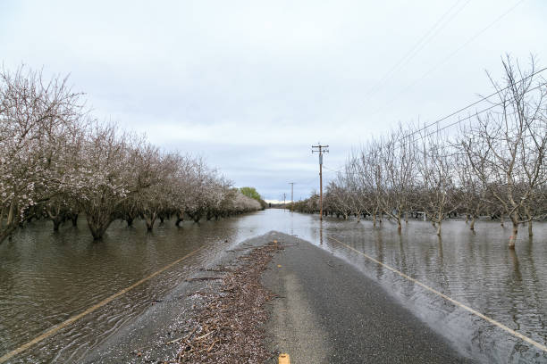 istock Flooded road near Sacramento 909454230