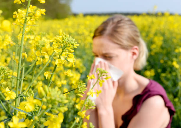 woman   has hay fever - hay fever imagens e fotografias de stock