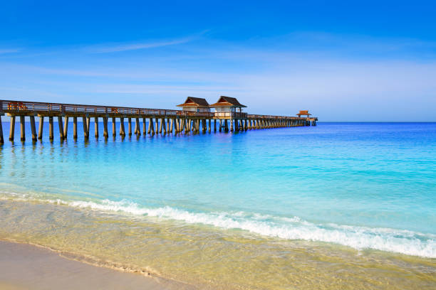 naples pier y la playa en florida estados unidos - florida naples florida pier beach fotografías e imágenes de stock