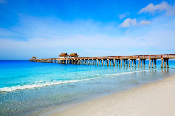 naples pier y la playa en florida estados unidos - florida naples florida pier beach fotografías e imágenes de stock