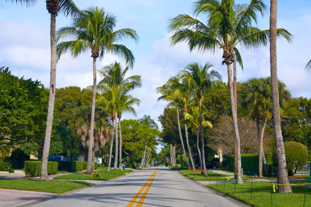 Naples beach streets with palm trees at Florida USA