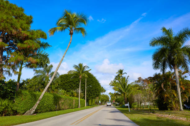istock Naples beach streets with palm trees Florida US 909457258