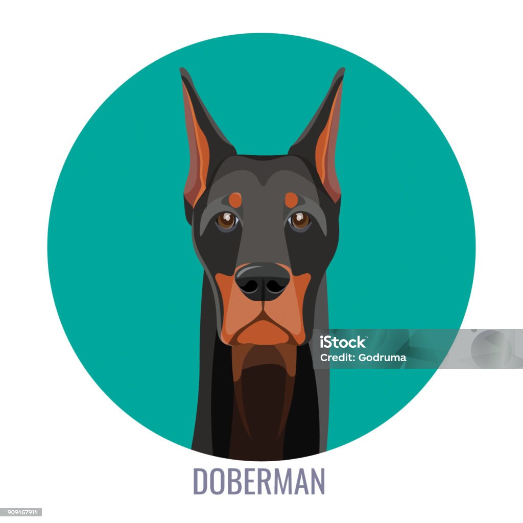 Ilustración de Hocico De Doberman Noble Con La Oscura Piel Lisa y más Vectores Libres de Derechos de Perro guardián - Perro guardián, Doberman, Cabeza de animal - iStock Ilustración de Hocico De Doberman Noble Con La Oscura Piel Lisa y más Vectores Libres de Derechos de Perro guardián - Perro guardián, Doberman, Cabeza de animal - iStock
