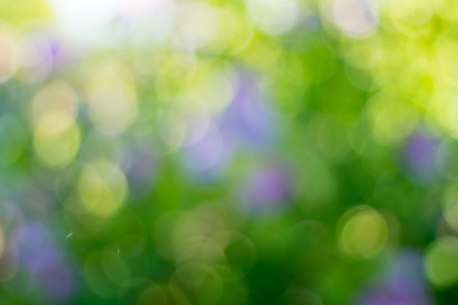 Bright and happy green abstract background with predominantly green foliage and hints of purple, and pink flowers.