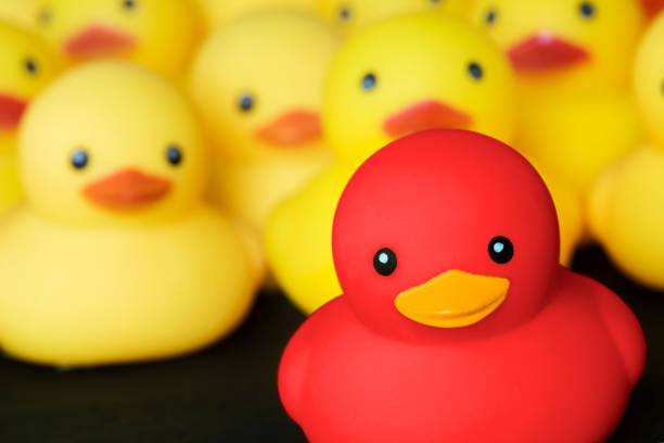 istock Closeup of rubber duckies 909461014