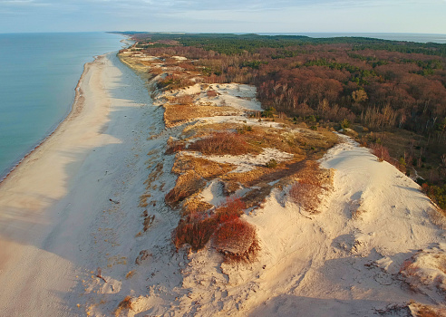 Snowless winter in the National Park Curonian Spit, drone photo